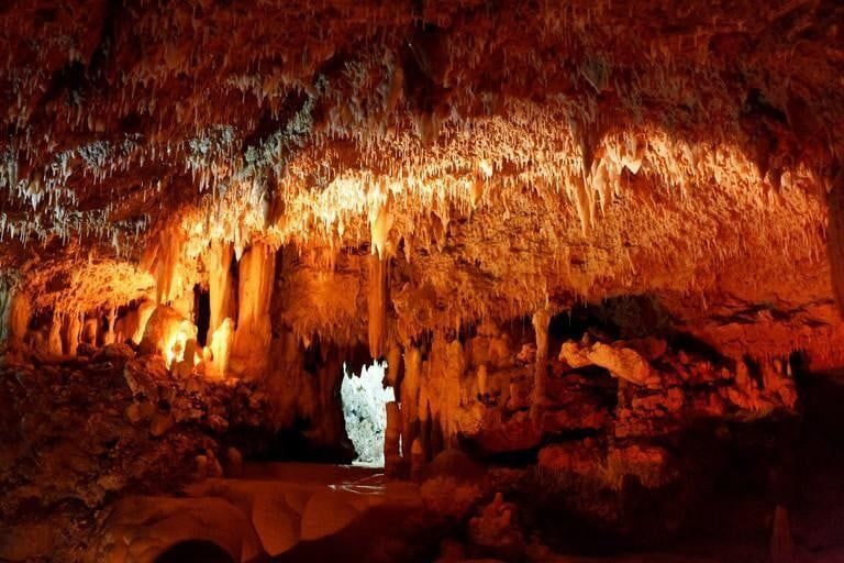 Antepasados humanos habrían hibernado, según paleontólogos