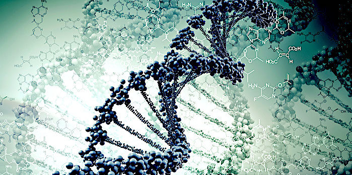 Junk DNA