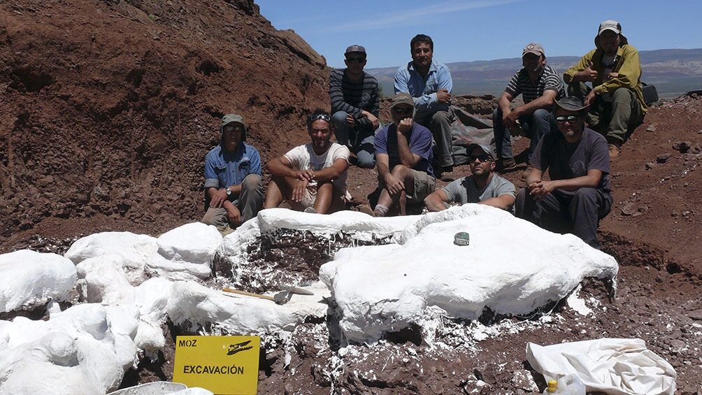 restos fósiles,dinosaurio,más grande de la historia,Neuquén,Argentina