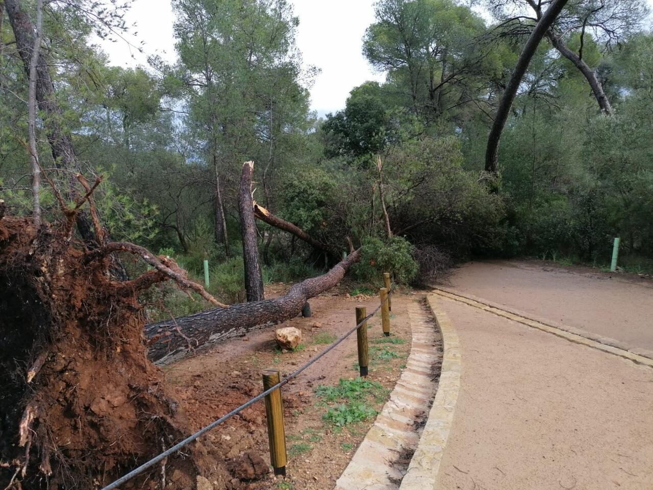 Clic para aumentar damage
