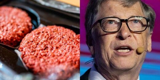Peligrosa,agenda,elitista,Bill Gates,países ricos,carne,sintética