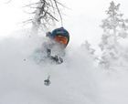Nevadas California