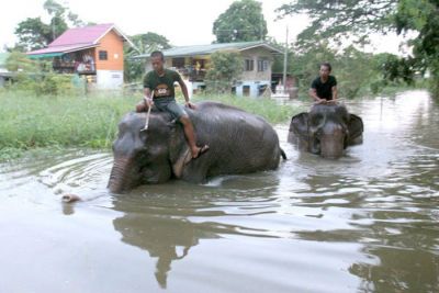 Thailandia Inundada
