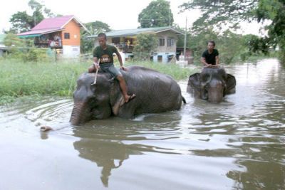 Clic para aumentar Thailandia Inundada