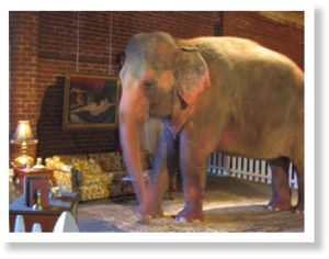elephant