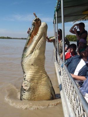 Clic para aumentar Imagen