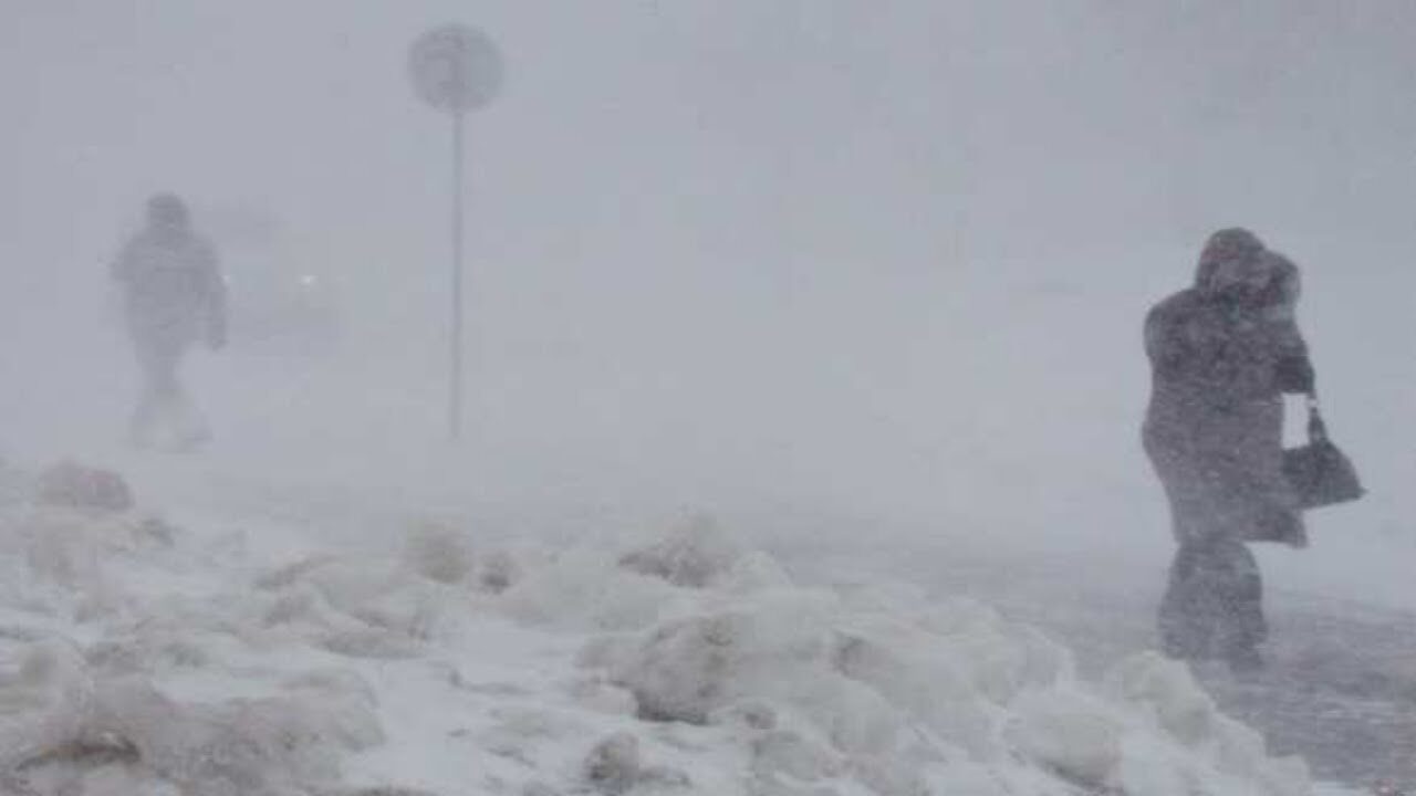 blizzard