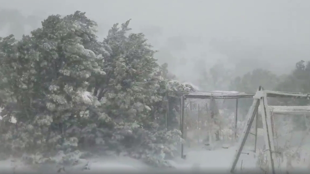 Damaging Winds and Snow Sweep Across Central New Mexico as Severe Storm Hits