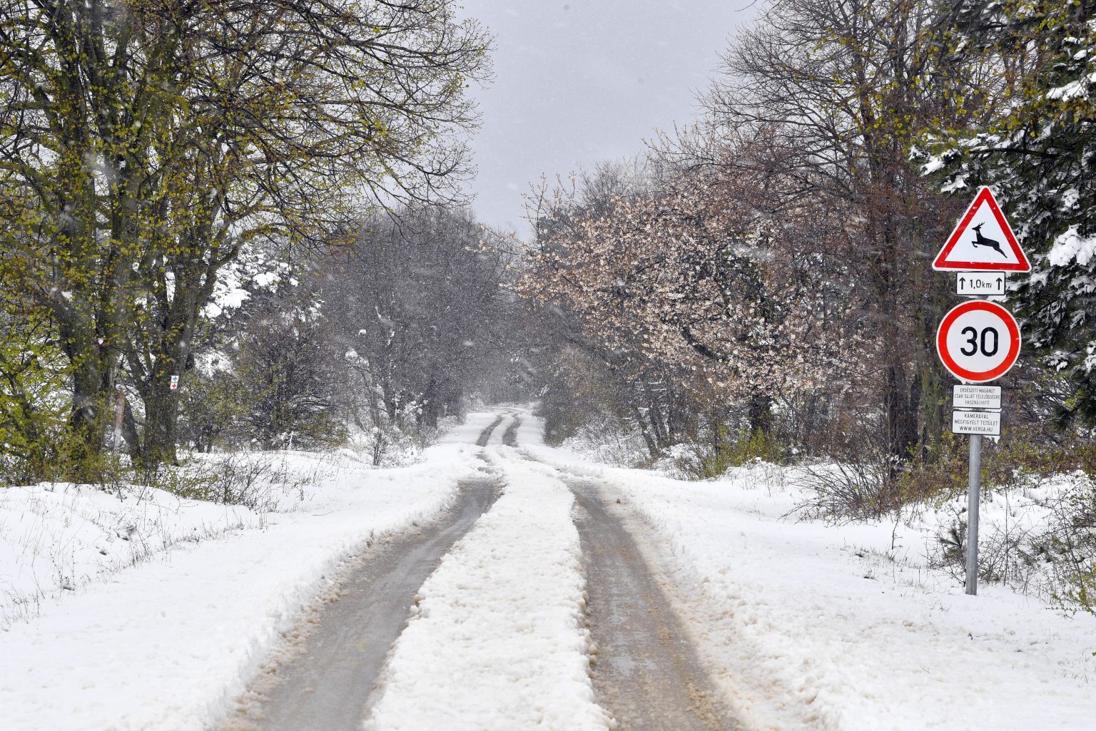 Clic para aumentar Snowy road on the border of Tés.