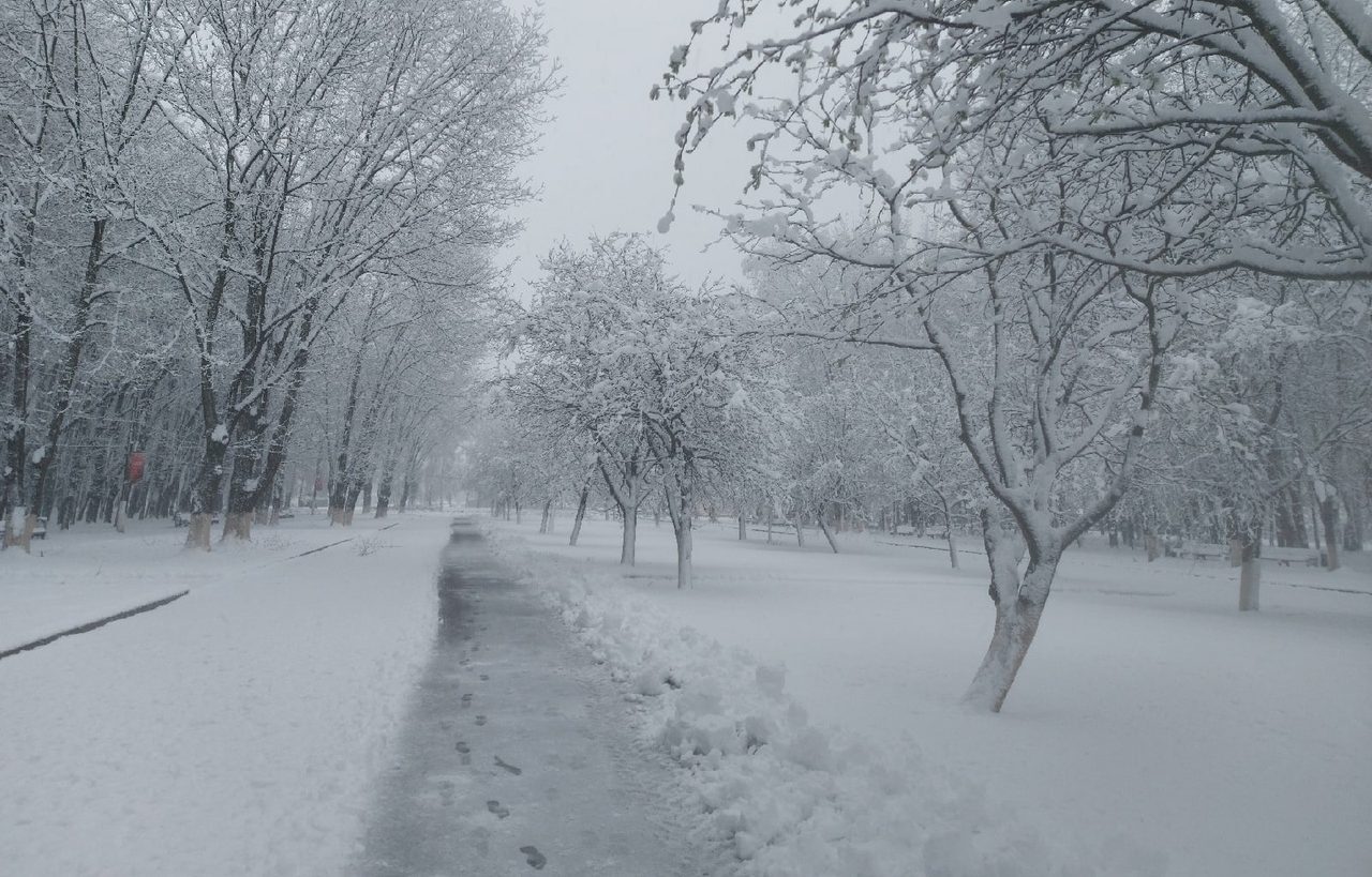 snow