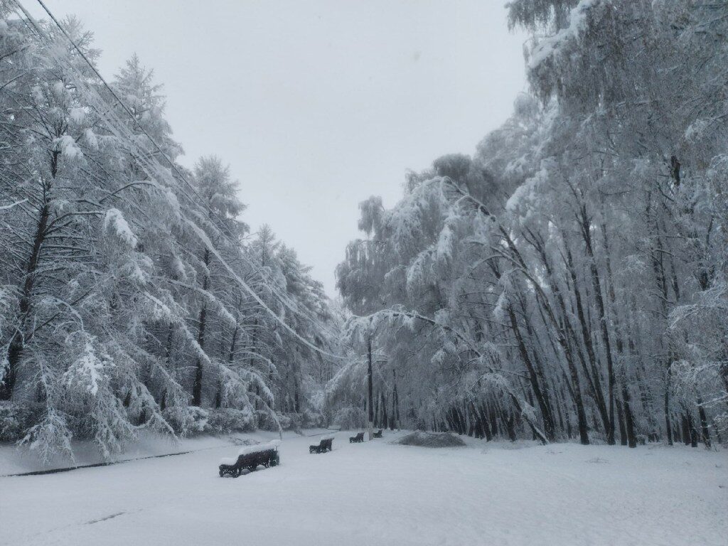 Clic para aumentar Heavy, out-of-season snow in the Tula regions, Russia (April 28).