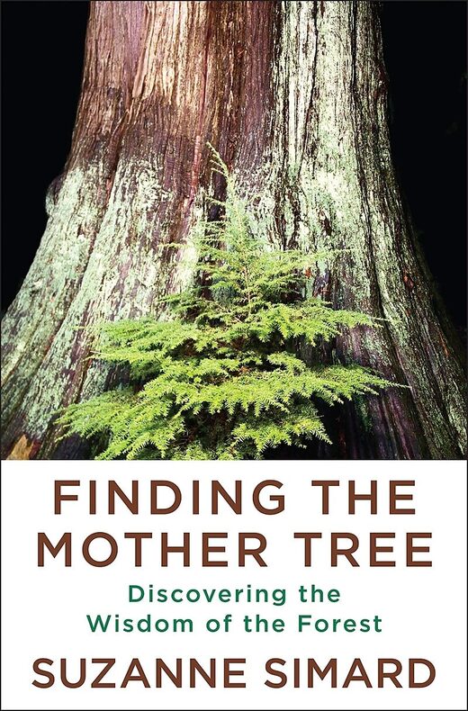 Clic para aumentar mother trees suzane simard book cover