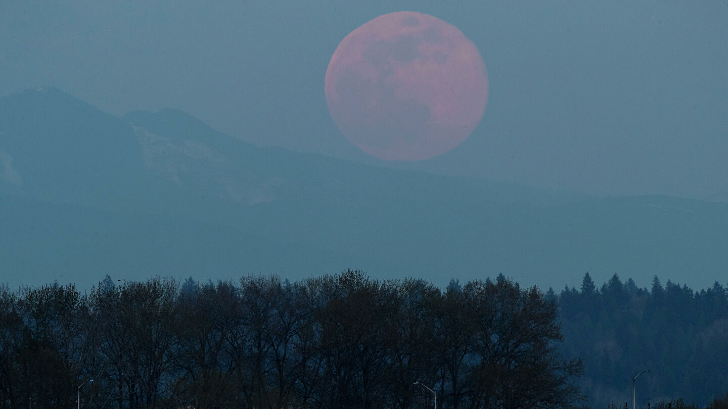 Luna Moon