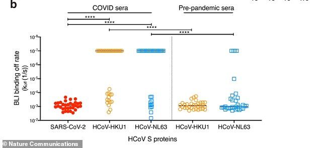 common cold antibodies covid virus