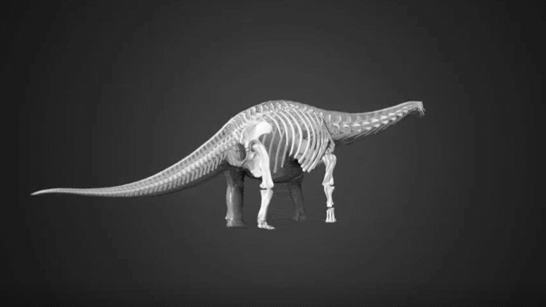 Clic para aumentar Dinosaur finding Australia