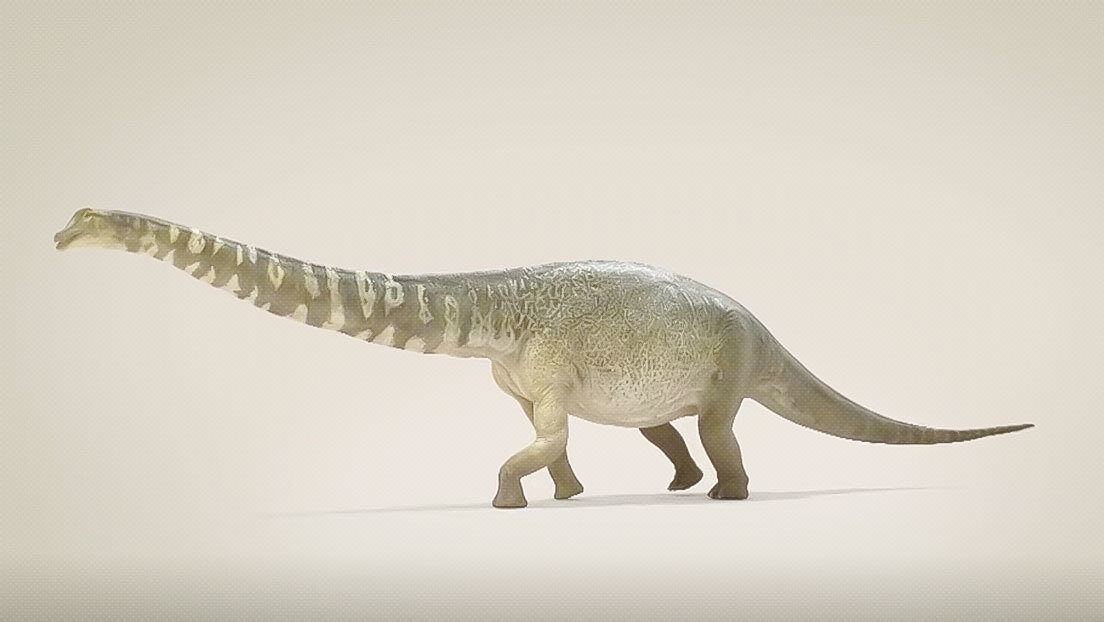 Clic para aumentar Dinosaur finding Australia