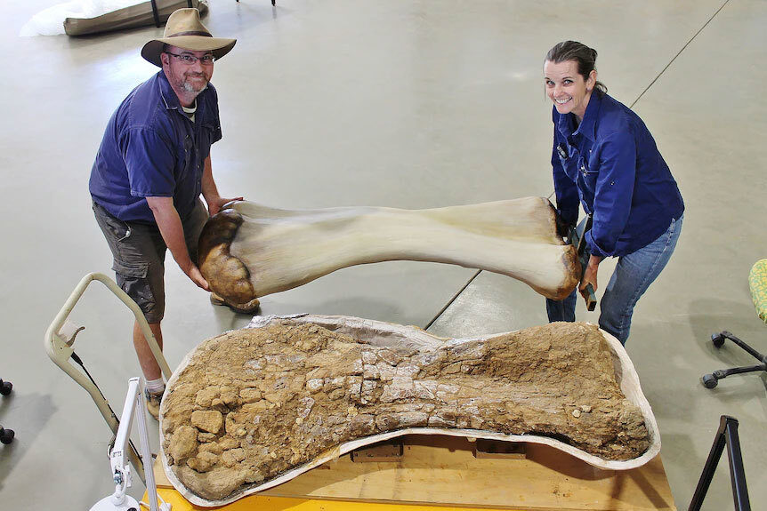 Clic para aumentar Dinosaur finding Australia