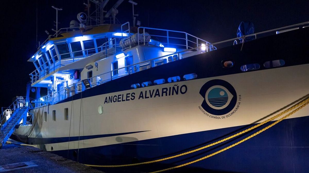 Imagen del Ángeles Alvariño