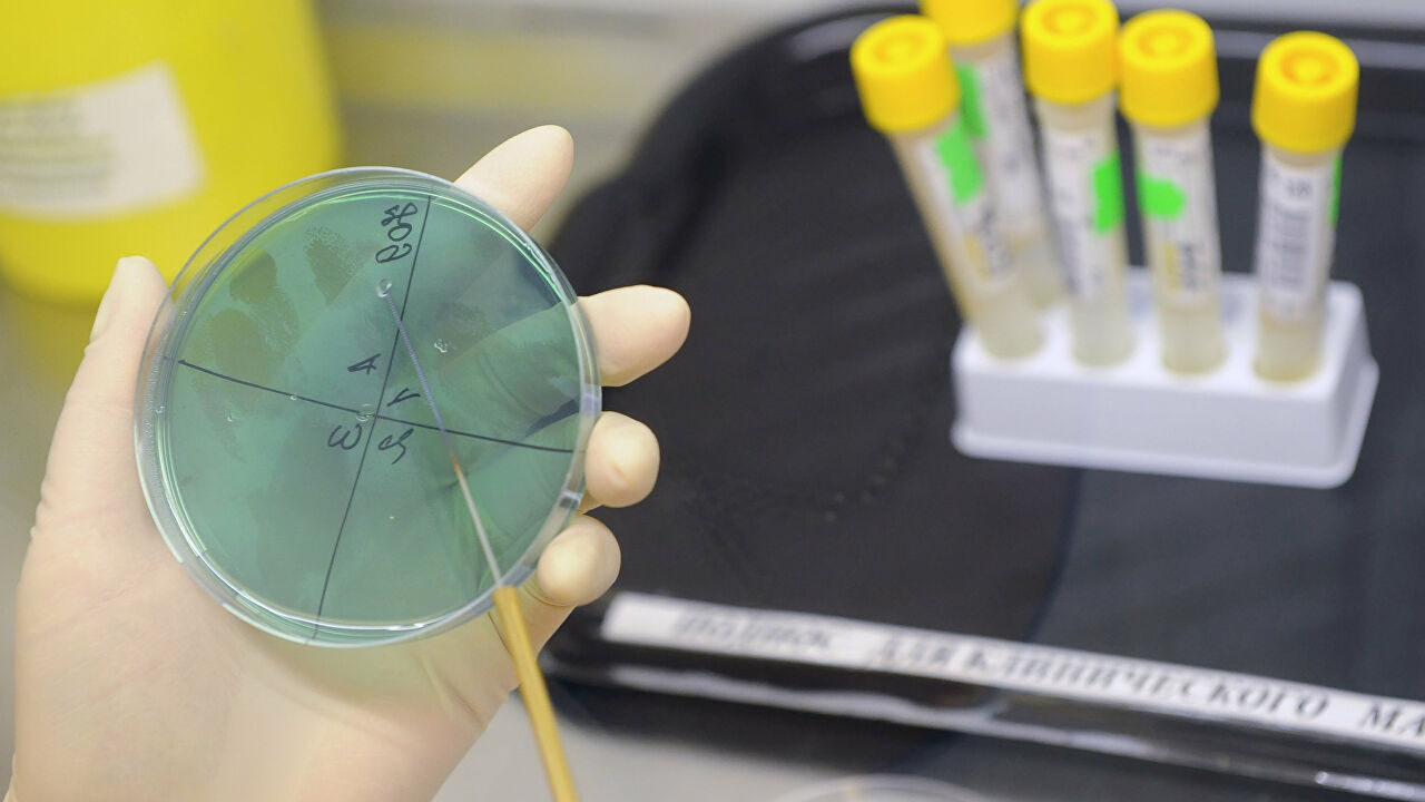 bacteria