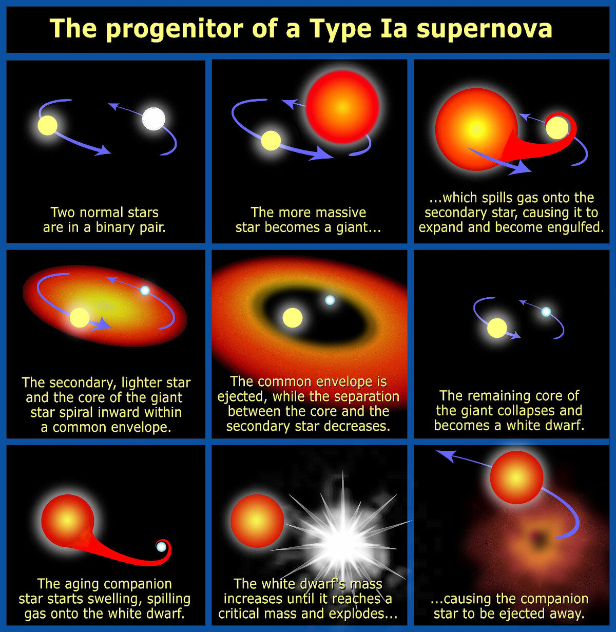 Type Ia Supernova