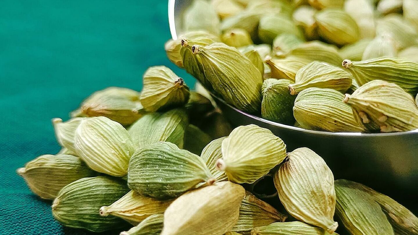 Cardamomo