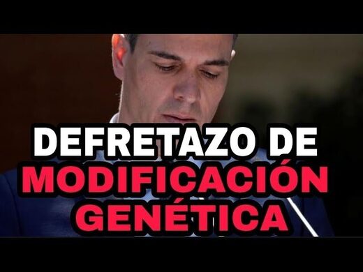 Gobierno en España,dicta,decretazo,modificación genética,sábado