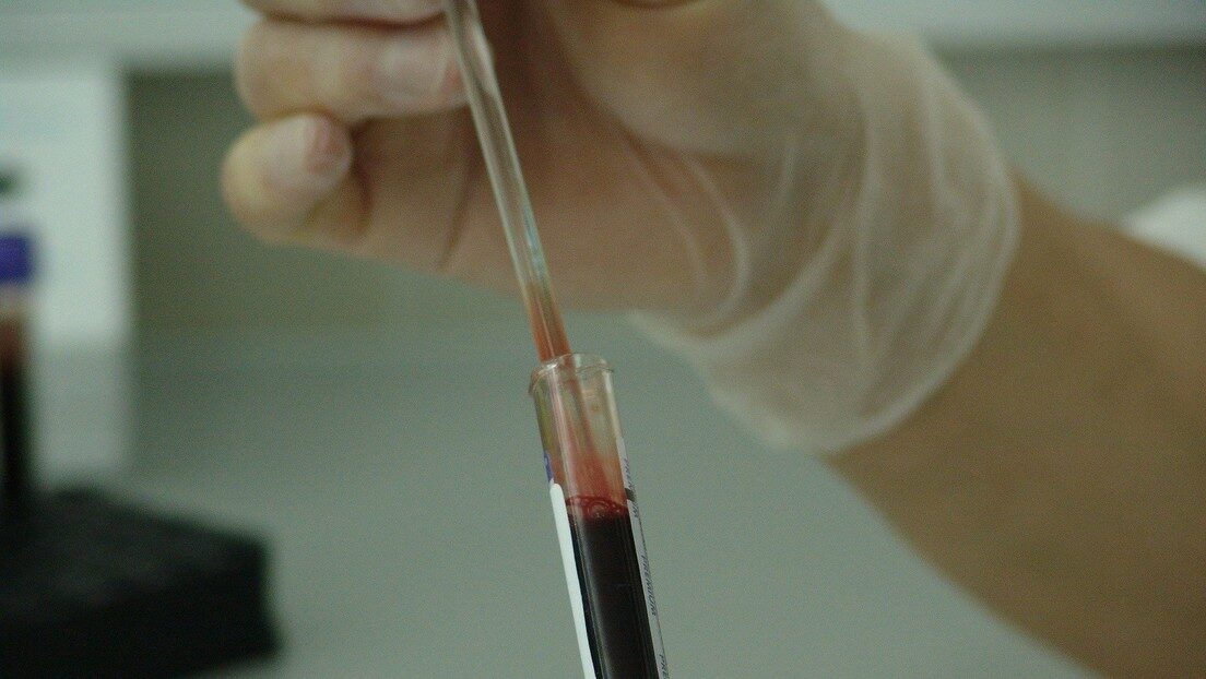 blood sangre