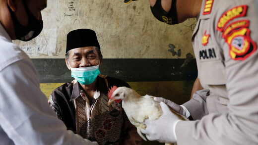 Chicken vaccine