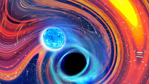 neutro star black hole