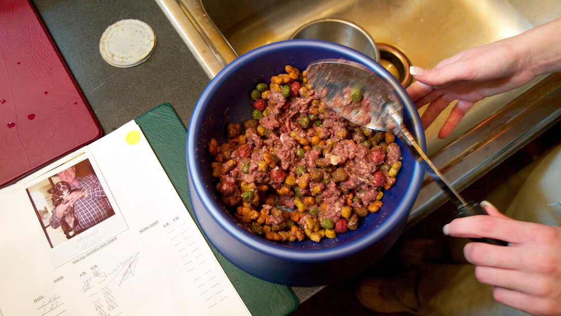 dog food