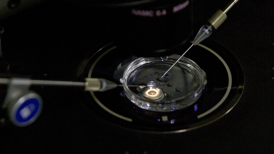 lab experiment