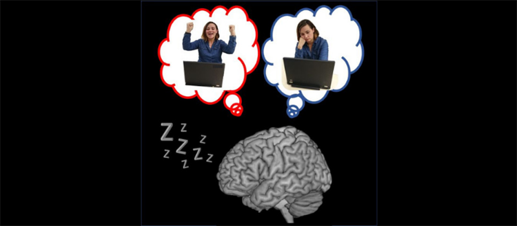 Brain and Sleep