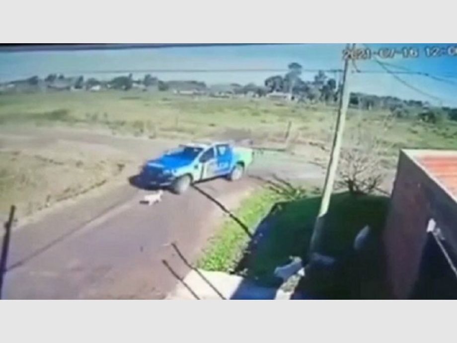 Bestias,video,policías,atropellan,matan,perrito,patrullero,Argentina