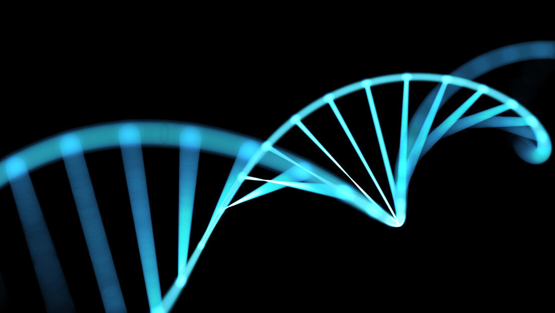 ADN DNA