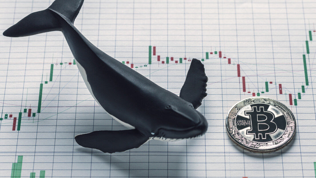 whale bitcoin