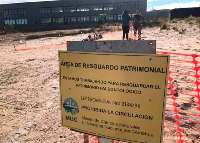 Encuentran 160,huevos,fósiles,aves prehistóricas,sur,Argentina