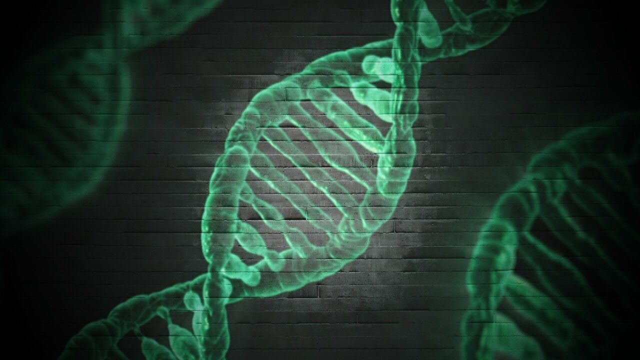 DNA ADN