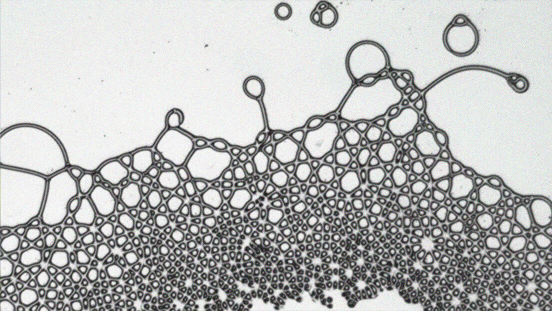 Square water crystals