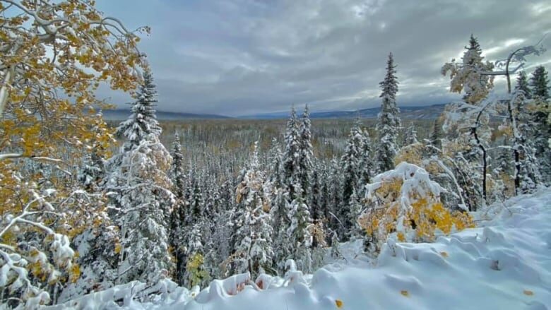 Clic para aumentar Mayo, Yukon, under the snow on Sept. 22.