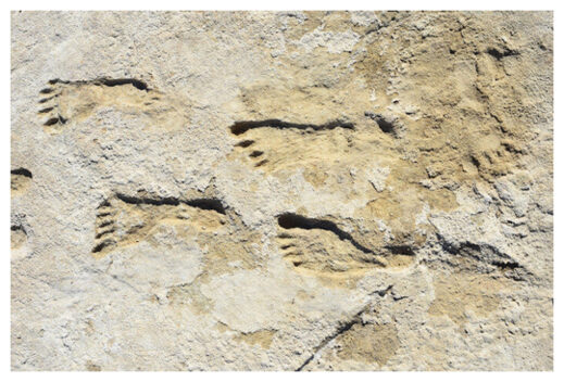 Ancient Human Footprints