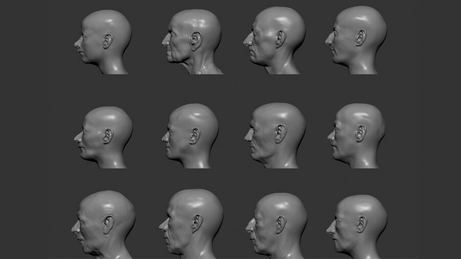 Clic para aumentar Facial Reconstruction