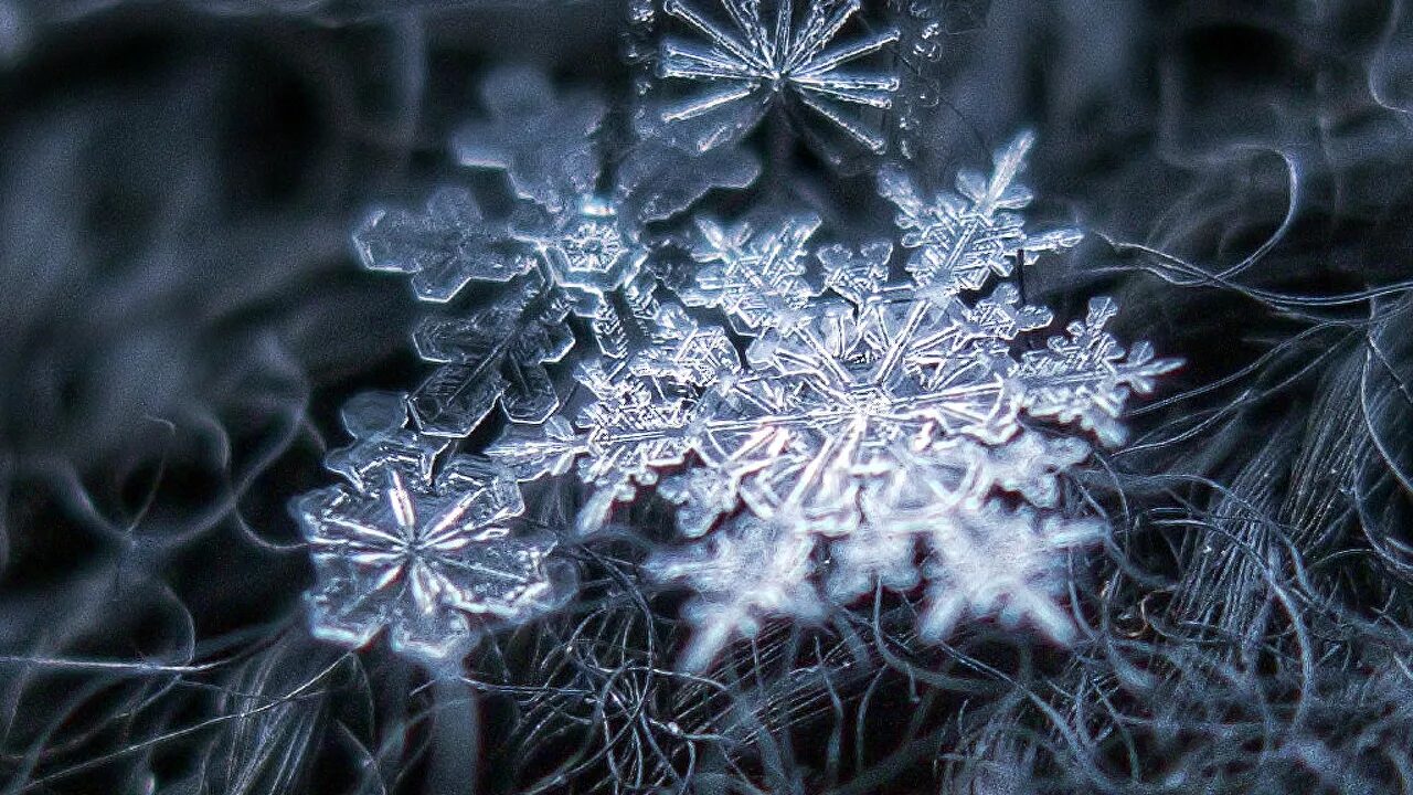 snowflake cold