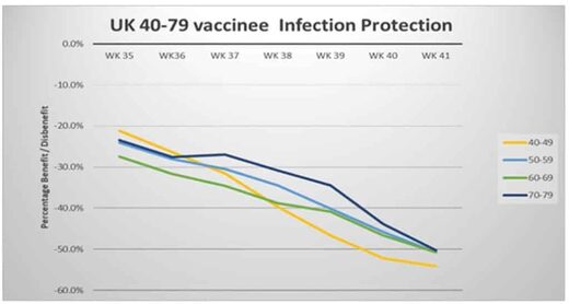 oficial,totalmente vacunados,sufriendo tasas de infección,mucho más altas,no vacunados,Reino Unido