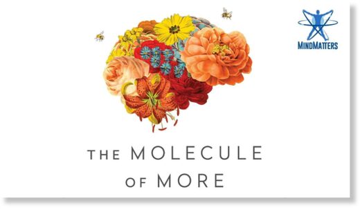 molecule more