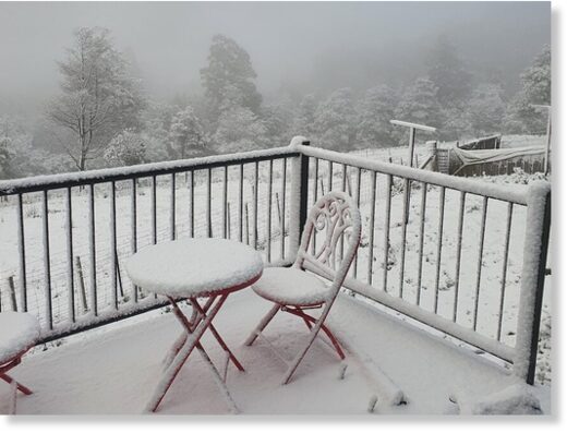 It was a snowy start to the day at Kaoota, south of Hobart.