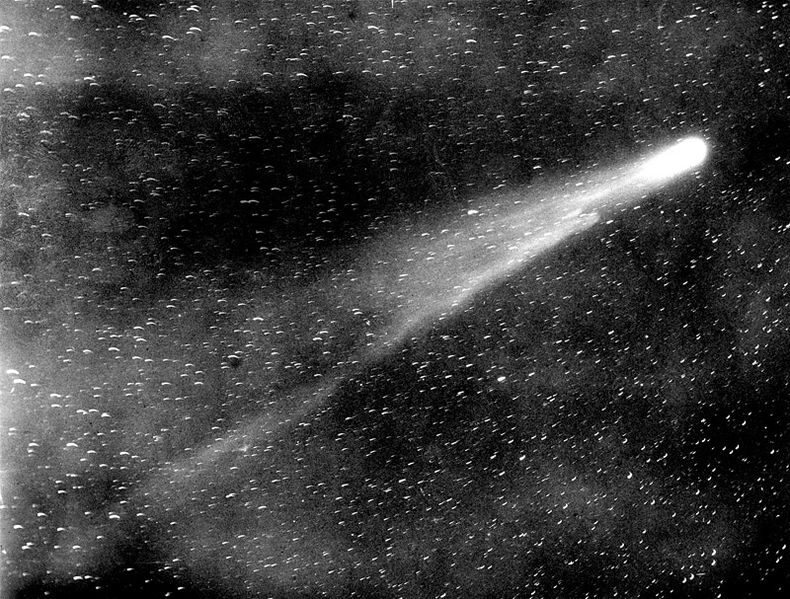 Halley's Comet