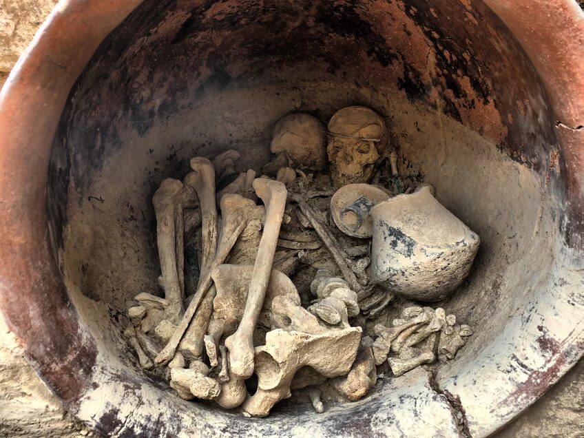 Ancient Skeletons