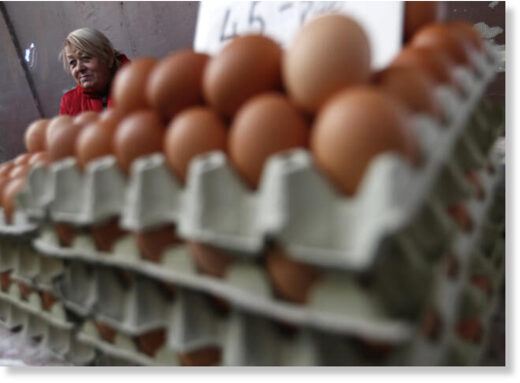 The price of eggs