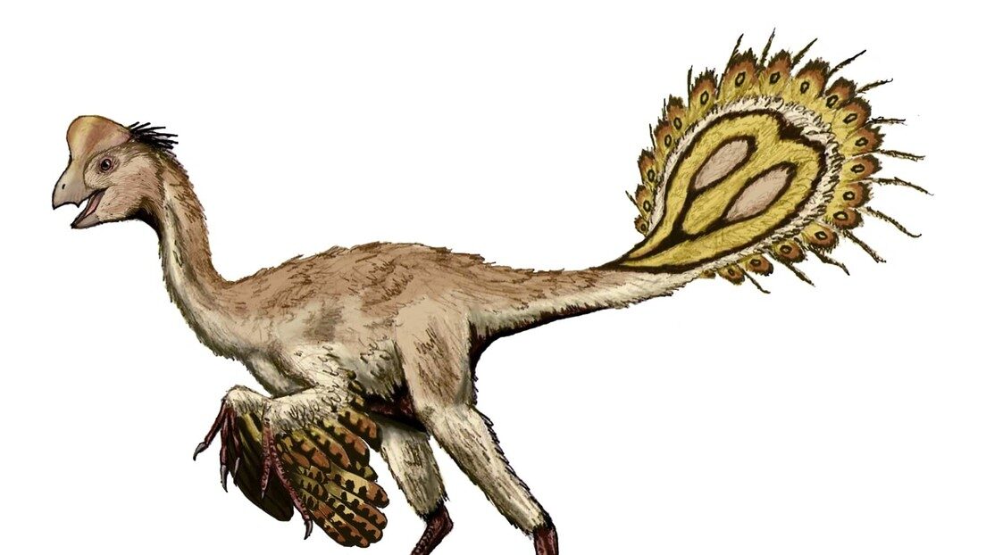 Pequeño Yingliang