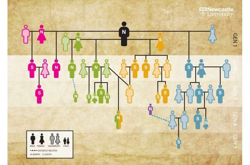 Neolithic family